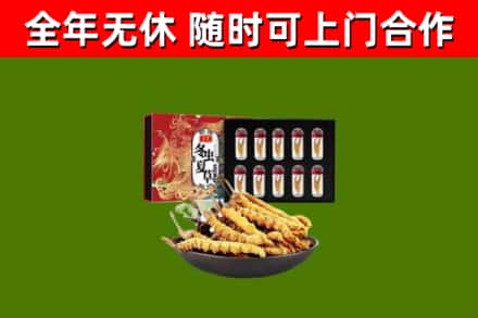 松江回收冬虫夏草价格